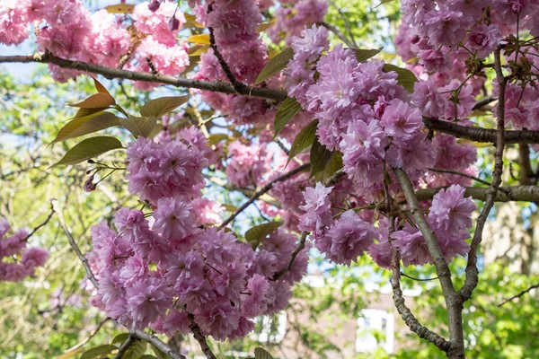 Medium property photo - Vleutenseweg 205, 3532 HC Utrecht